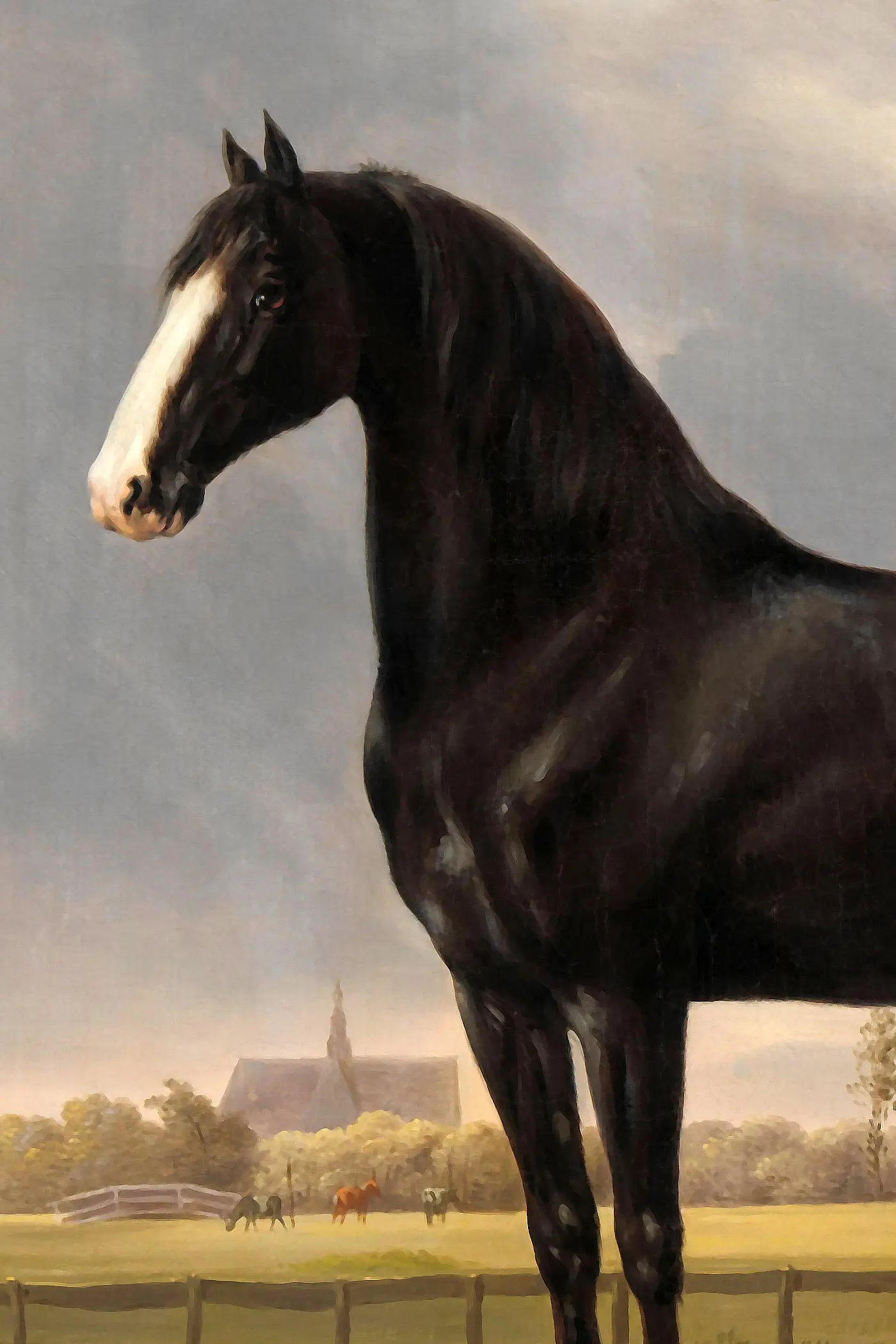Black Beauty