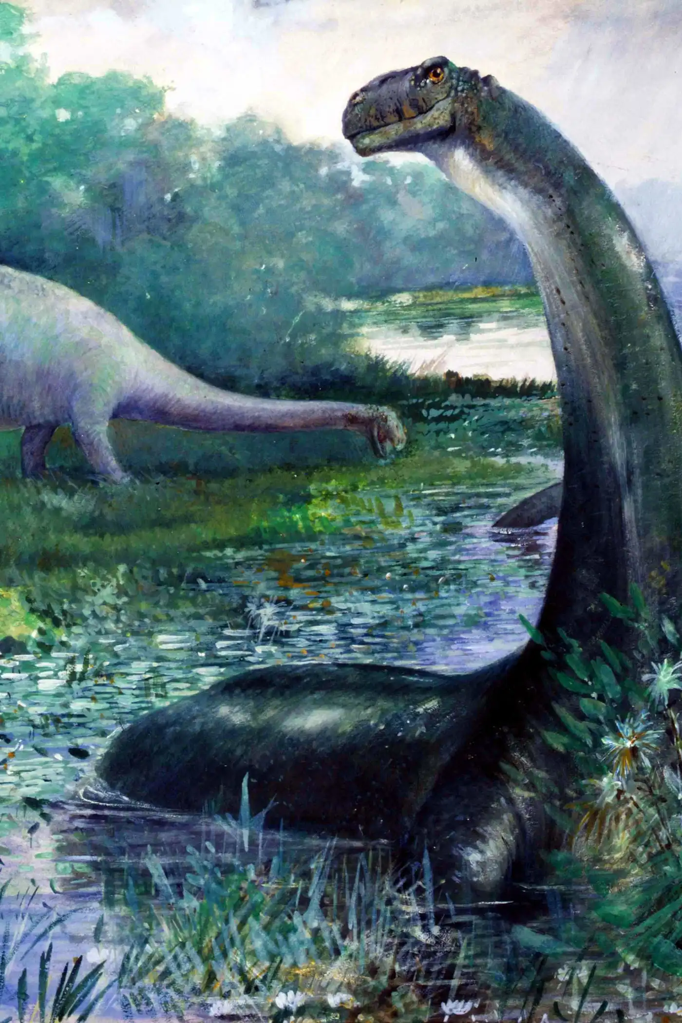 The Lost World - Read online free The Lost World