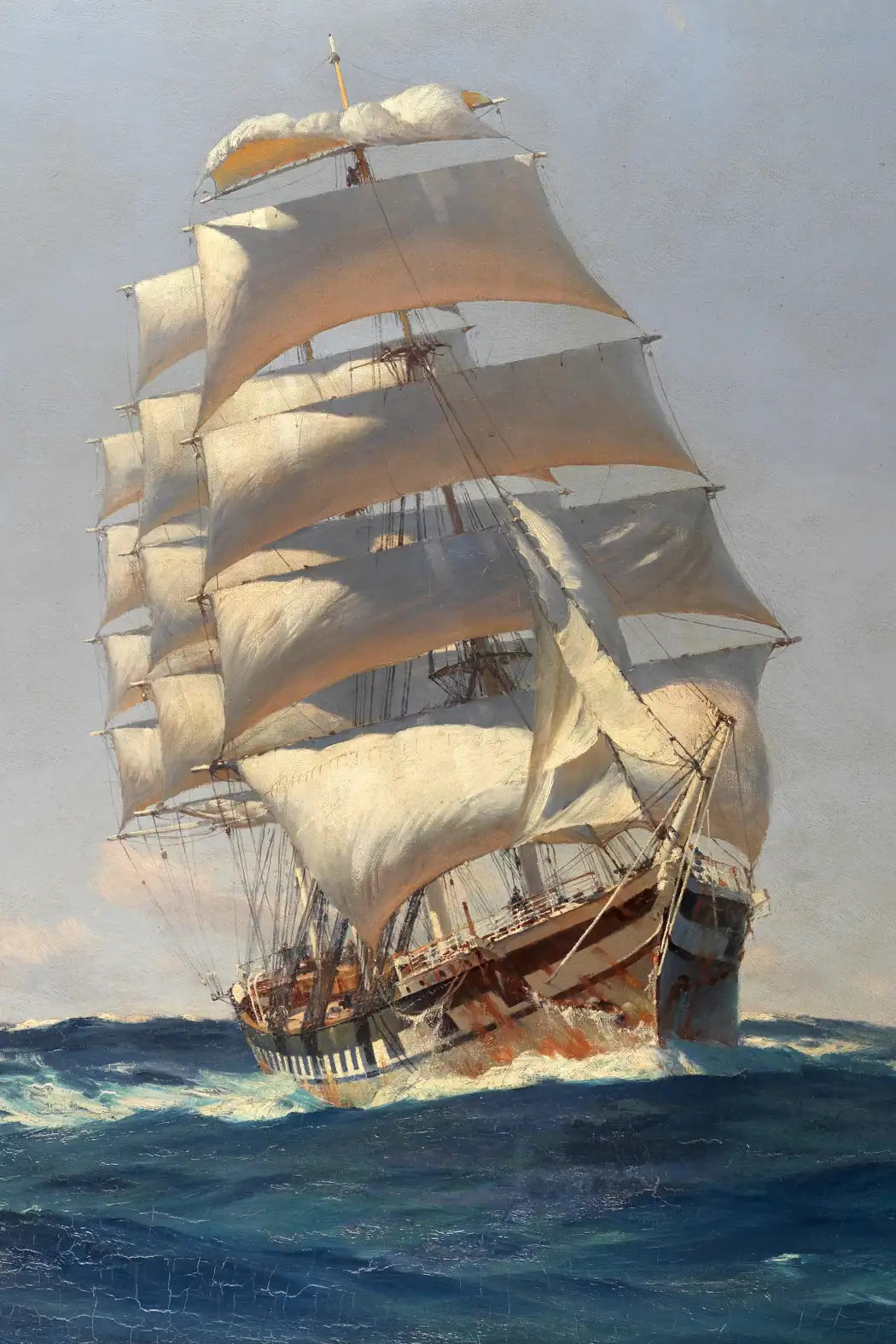 The Voyage of the Beagle - Read online free The Voyage of the Beagle