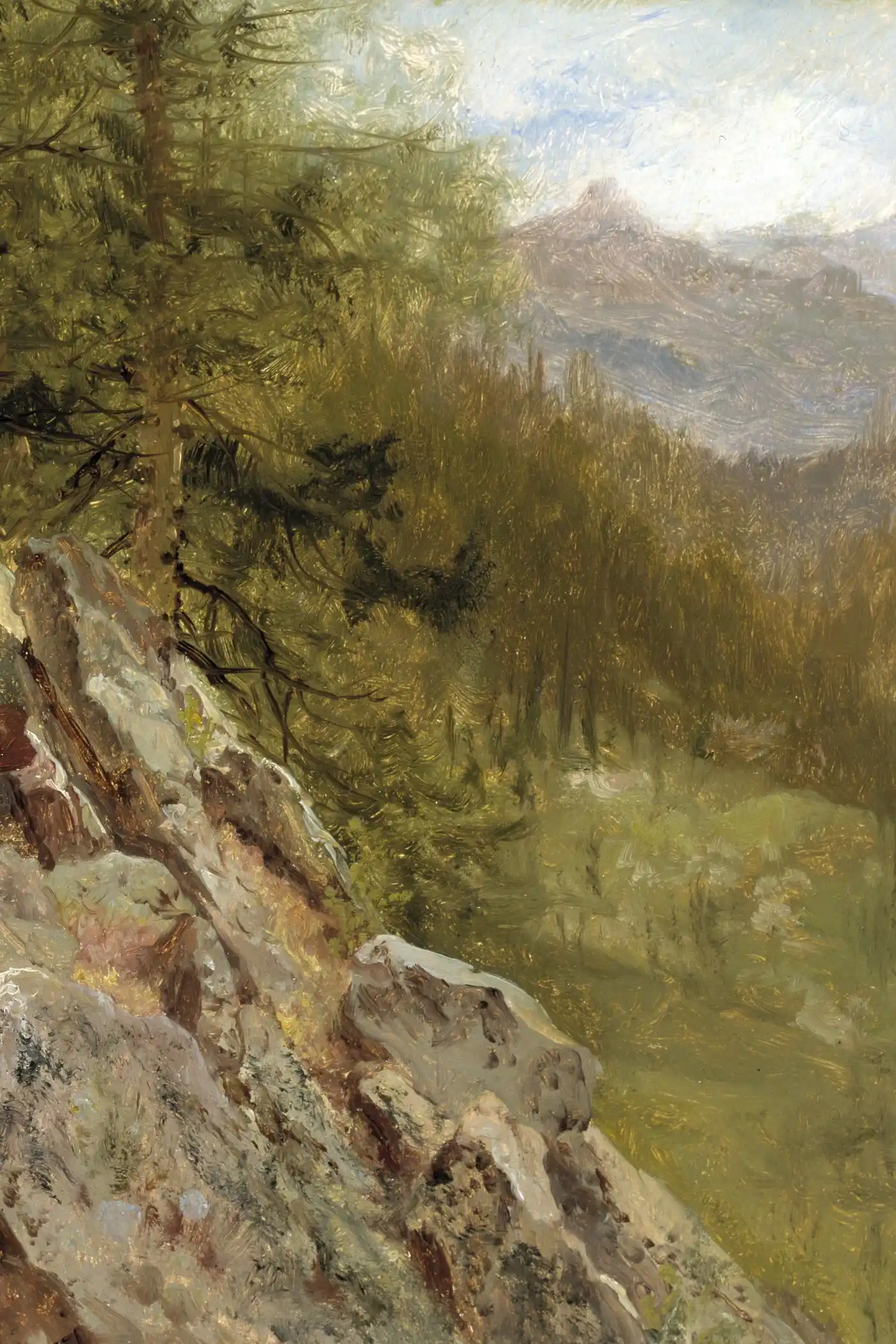 Shepherds of the Wild