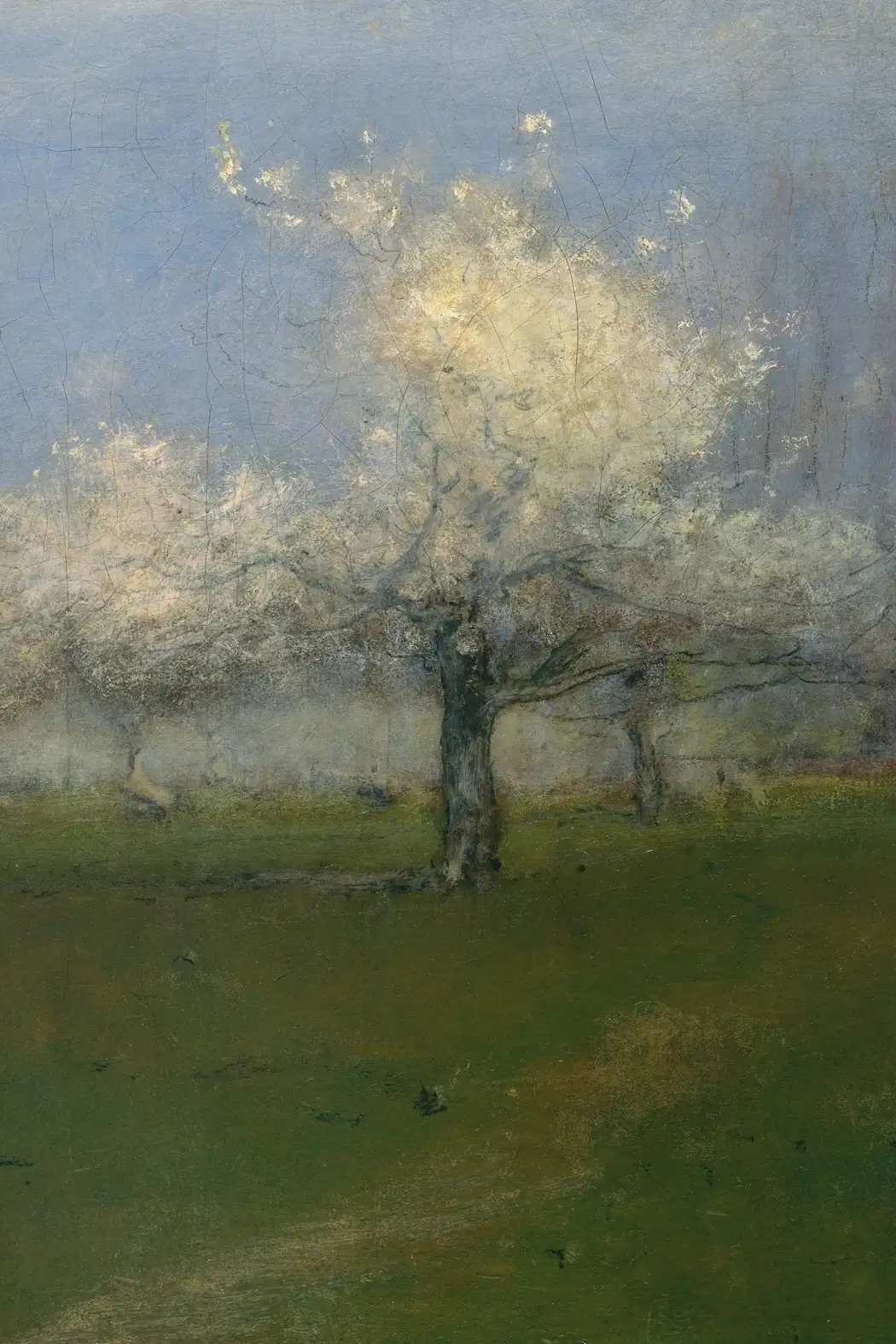 The Cherry Orchard