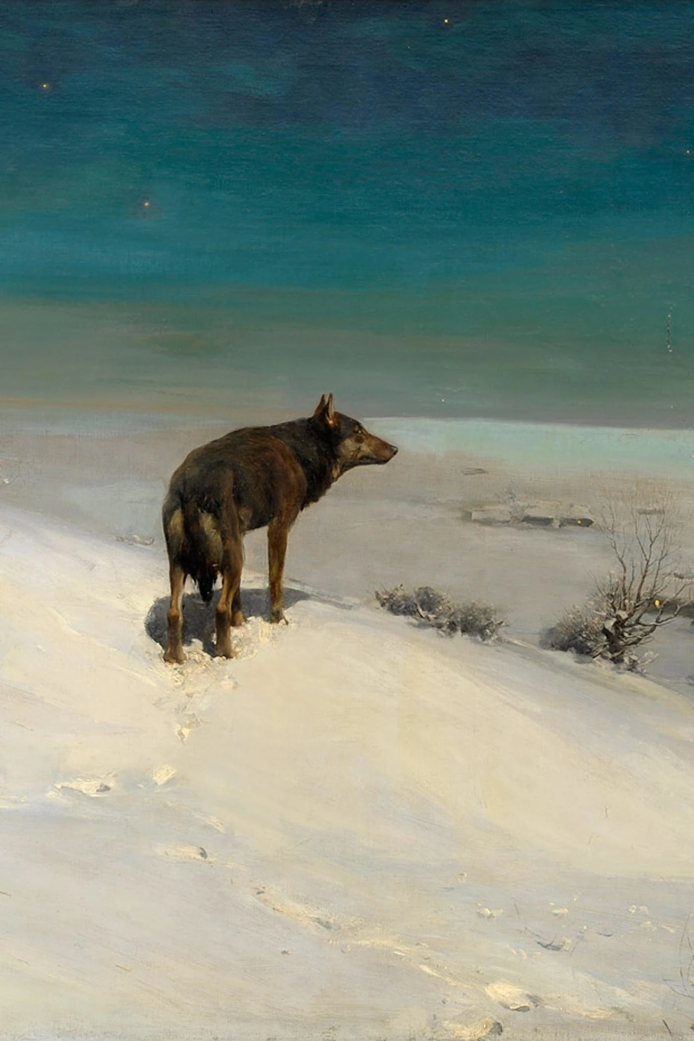 White Fang