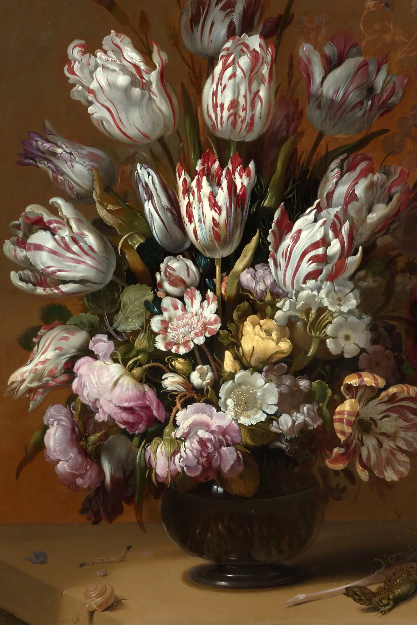 The Black Tulip