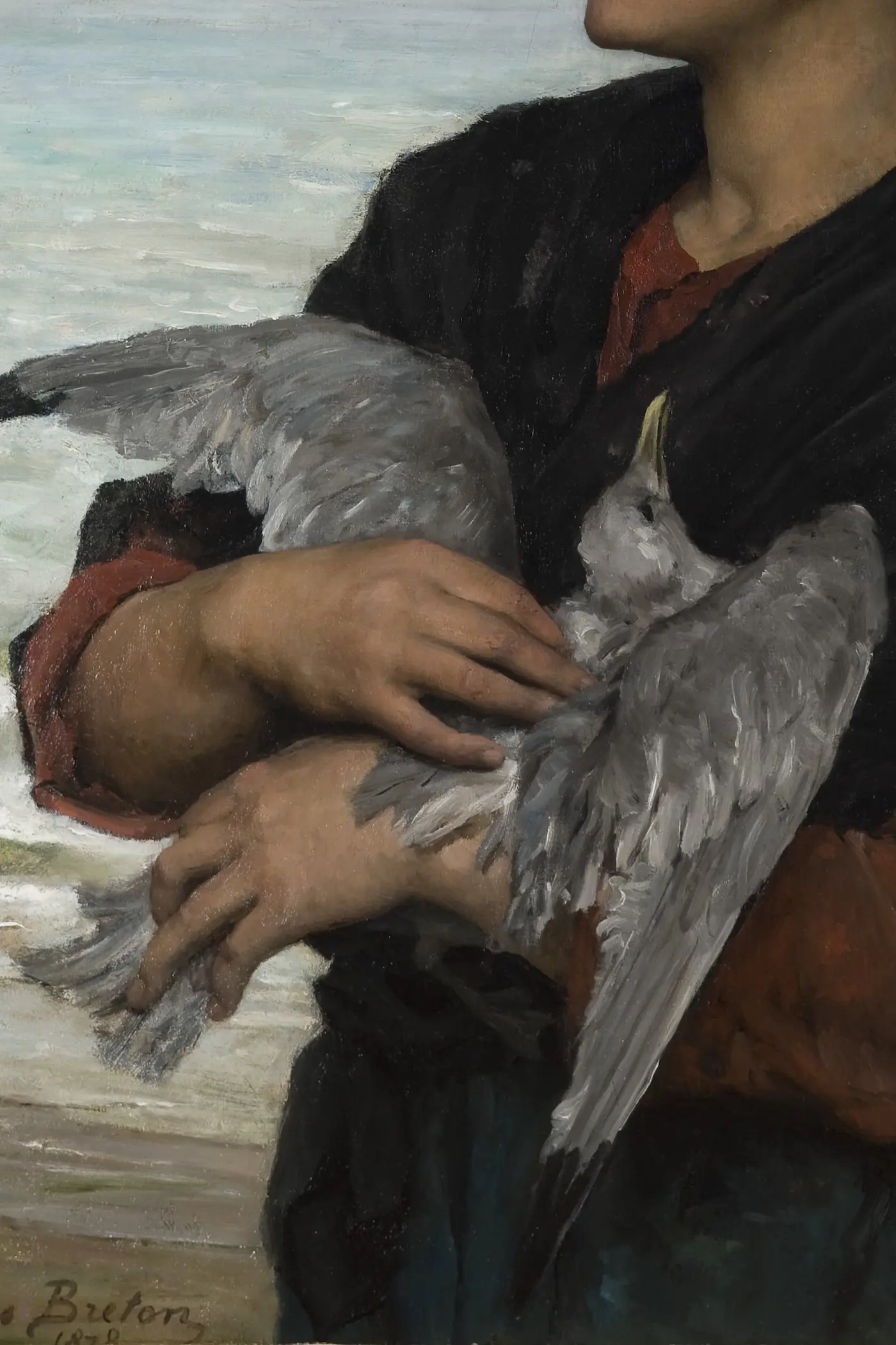 The Seagull