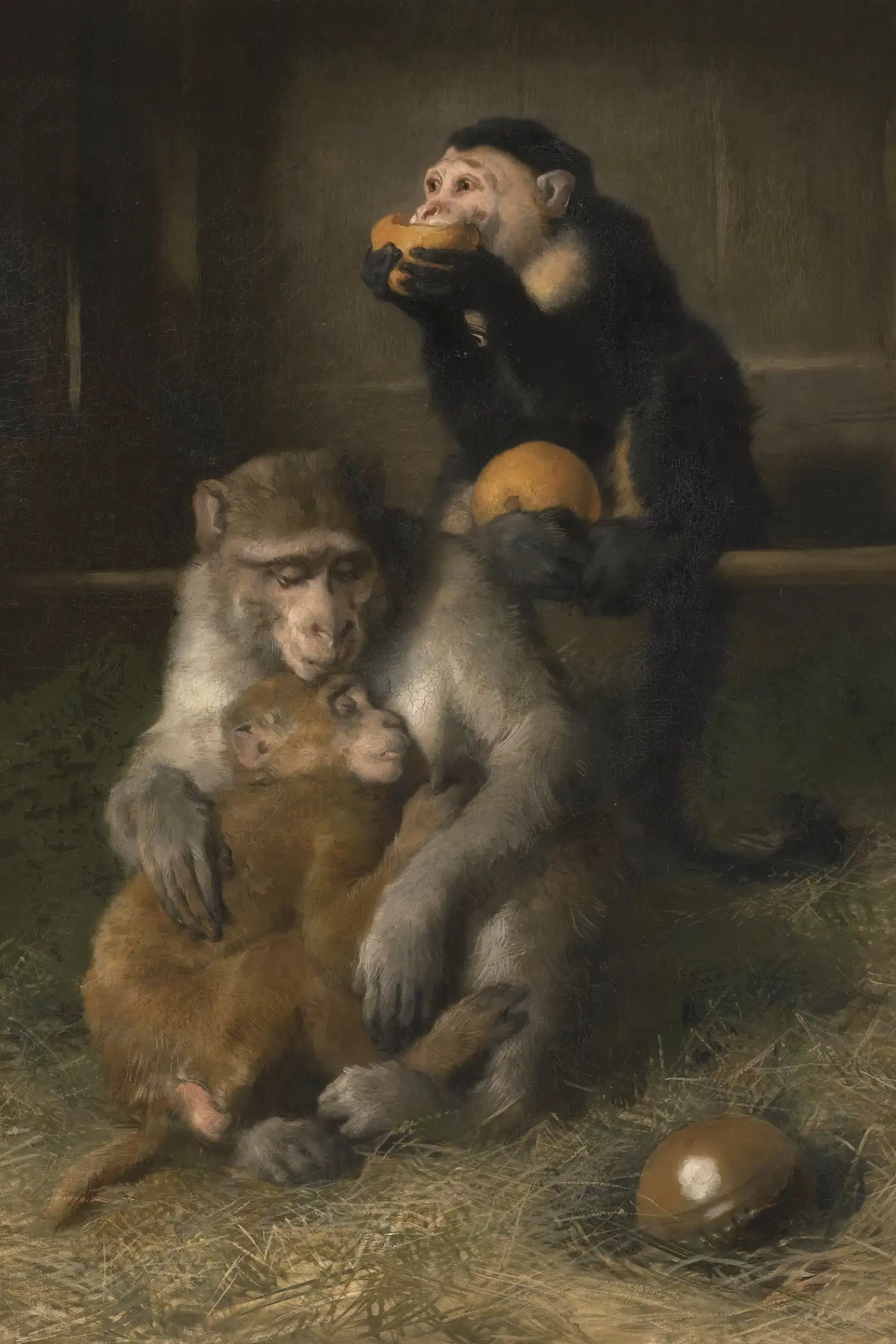 The Origin of Species - Read online free The Origin of Species